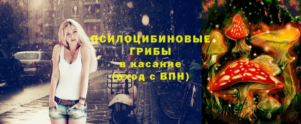 Альфа ПВП Пролетарск