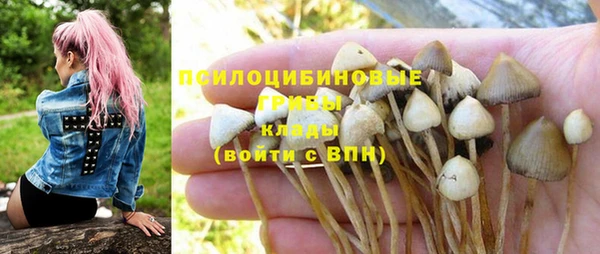 гашиш Покачи