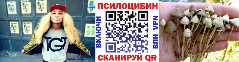 Галлюциногенные грибы ЛСД  Кологрив 